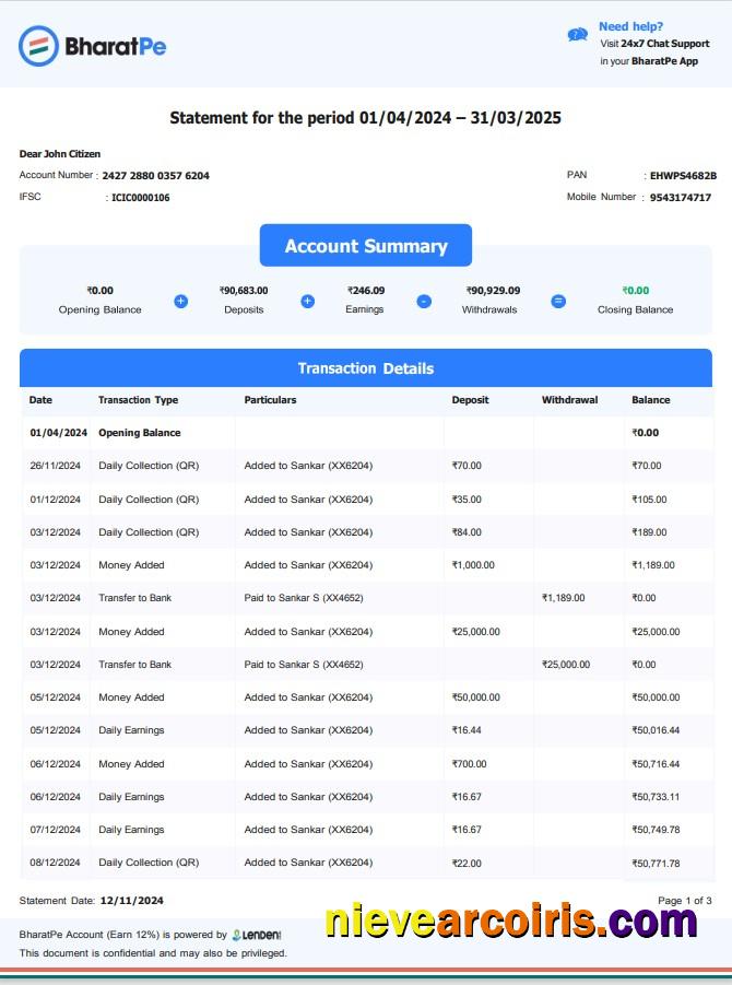 INDIA BHARATPE bank statement, Word and PDF format